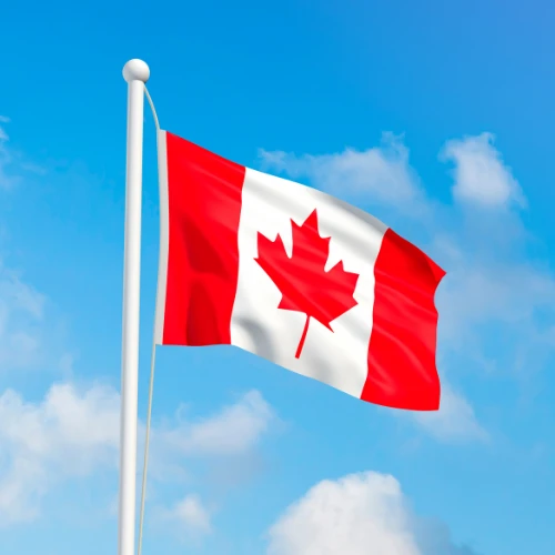 Canada Visa Assistance