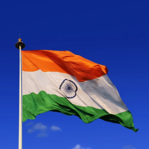 Indian Visa Assistance