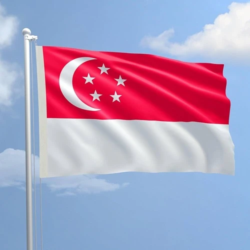 Singapore Visa Assistance
