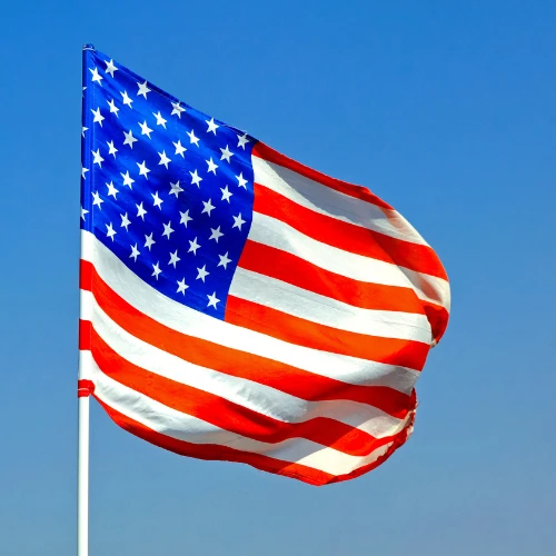 USA Visa Assistance