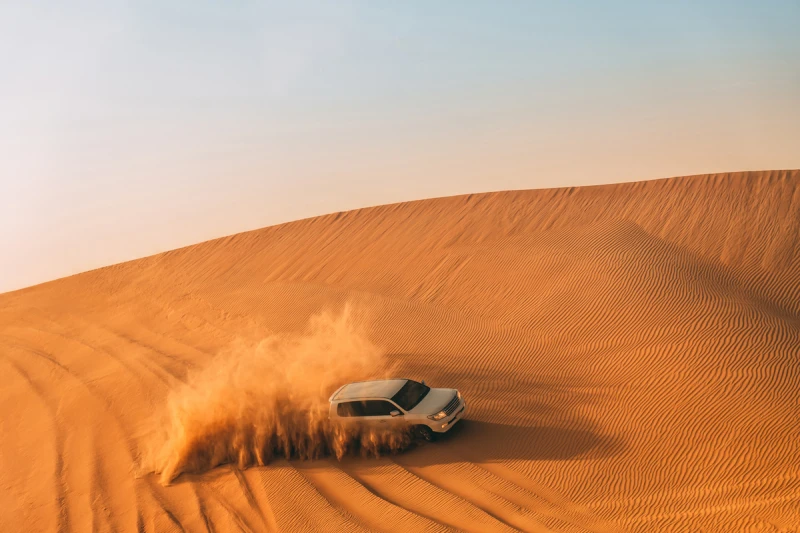 Desert Safari
